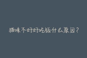 猫咪不好好吃饭什么原因?