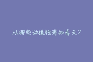 从哪些动植物感知春天?