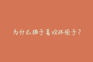 为什么猫子喜欢抓柜子?