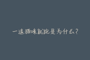 一追猫咪就跑是为什么？