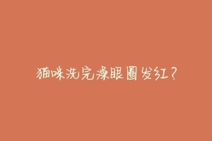 猫咪洗完澡眼圈发红?