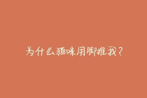 为什么猫咪用脚推我?