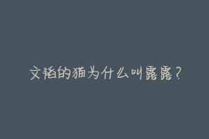文韬的猫为什么叫露露？