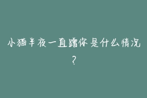 小猫半夜一直蹭你是什么情况?