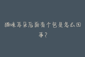 猫咪耳朵后面有个包是怎么回事?