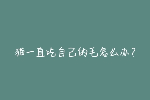 猫一直吃自己的毛怎么办?