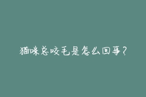 猫咪总咬毛是怎么回事?