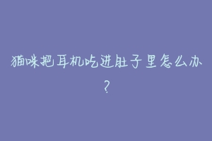 猫咪把耳机吃进肚子里怎么办?