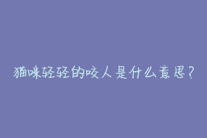 猫咪轻轻的咬人是什么意思?