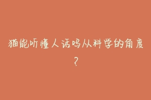猫能听懂人话吗从科学的角度?