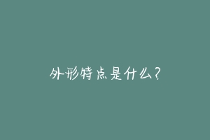 外形特点是什么?