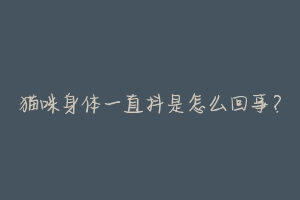 猫咪身体一直抖是怎么回事?