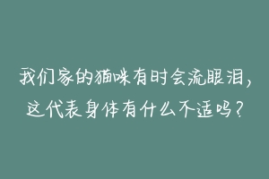 我们家的猫咪有时会流眼泪,这代表身体有什么不适吗?