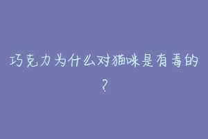 巧克力为什么对猫咪是有毒的?