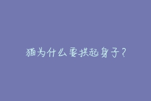 猫为什么要拱起身子?
