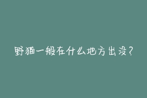 野猫一般在什么地方出没？