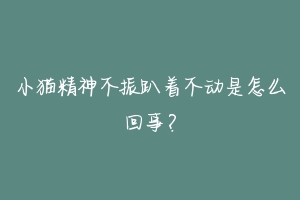 小猫精神不振趴着不动是怎么回事?
