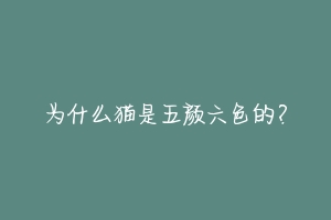 为什么猫是五颜六色的?