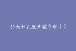 猫为什么越来越不粘人?