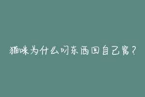猫咪为什么叼东西回自己窝？