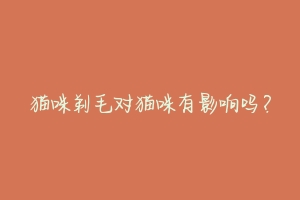猫咪剃毛对猫咪有影响吗?
