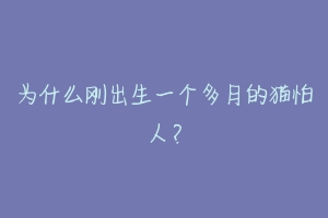 为什么刚出生一个多月的猫怕人?