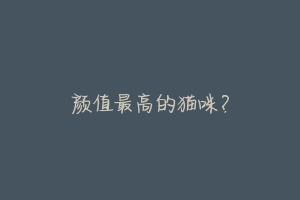 颜值最高的猫咪?