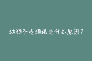 幼猫不吃猫粮是什么原因?