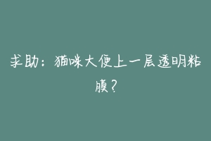 求助:猫咪大便上一层透明粘膜?