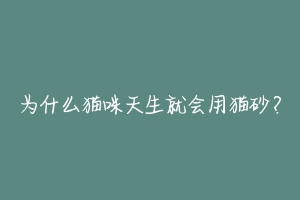 为什么猫咪天生就会用猫砂?