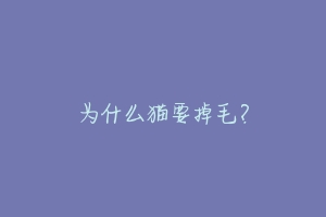 为什么猫要掉毛?