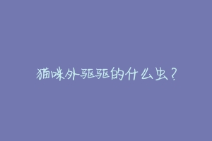 猫咪外驱驱的什么虫?