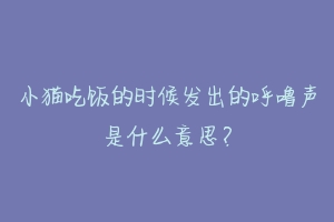 小猫吃饭的时候发出的呼噜声是什么意思?