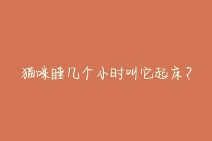 猫咪睡几个小时叫它起床?