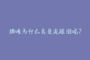 猫咪为什么总是流眼泪呢?