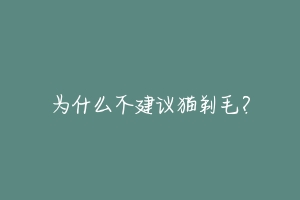 为什么不建议猫剃毛?