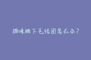 猫咪腋下毛结团怎么办?
