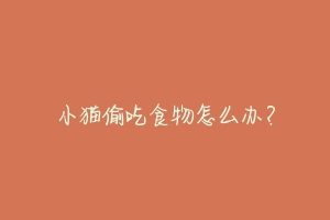 小猫偷吃食物怎么办?