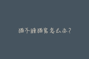 猫不睡猫窝怎么办?