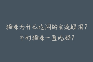 猫咪为什么吃闲的会流眼泪?平时猫咪一直吃猫?