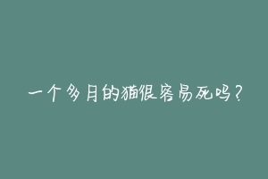一个多月的猫很容易死吗?