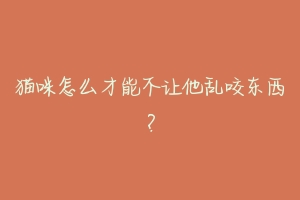 猫咪怎么才能不让他乱咬东西?