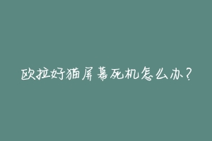 欧拉好猫屏幕死机怎么办?