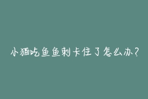 小猫吃鱼鱼刺卡住了怎么办?
