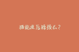 猫能提后脖颈么?
