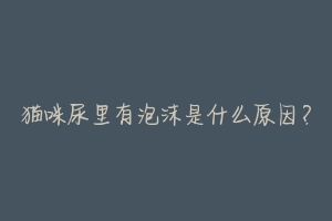 猫咪尿里有泡沫是什么原因?