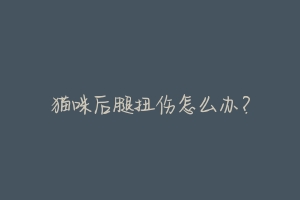 猫咪后腿扭伤怎么办?