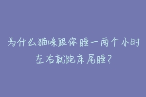 为什么猫咪跟你睡一两个小时左右就跑床尾睡?
