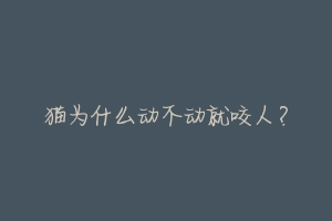 猫为什么动不动就咬人?