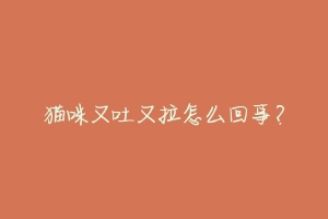 猫咪又吐又拉怎么回事?